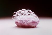 Bubble that looks like pink brain.