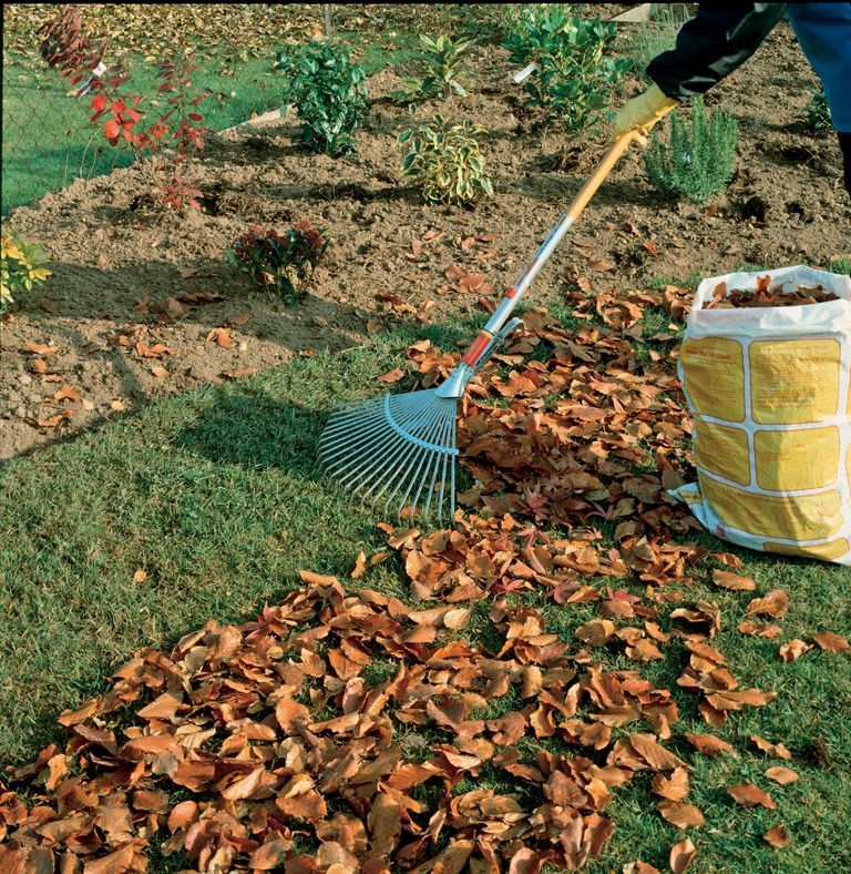 8 easy ways to put autumn leaves to good use in your garden | Gardeningetc