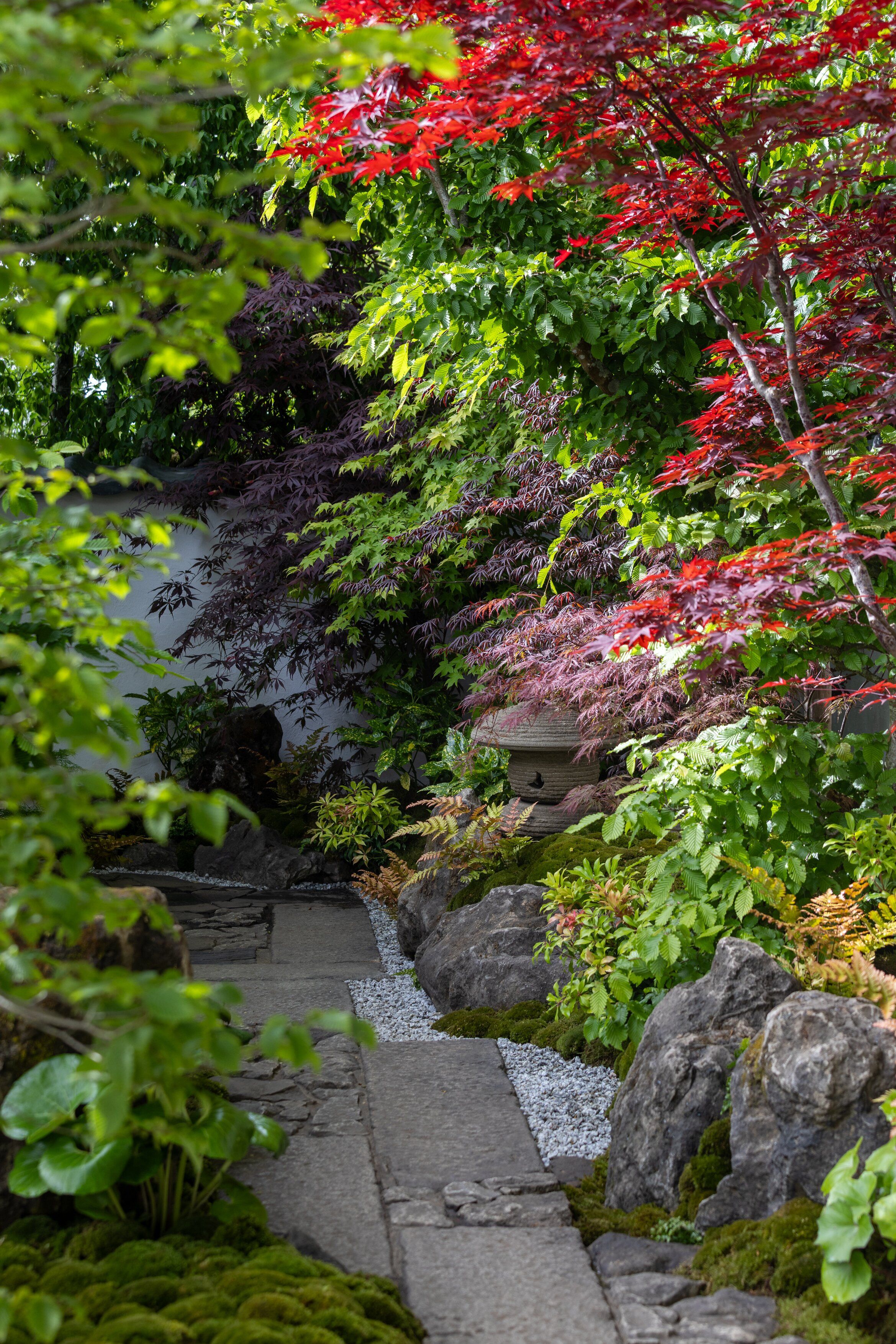 Details of the Tokonoma Garden &ndash; Sanumaya no Niwa, a nostalgic garden scene in a japanese style. IE lots of moss and bonsai and stones