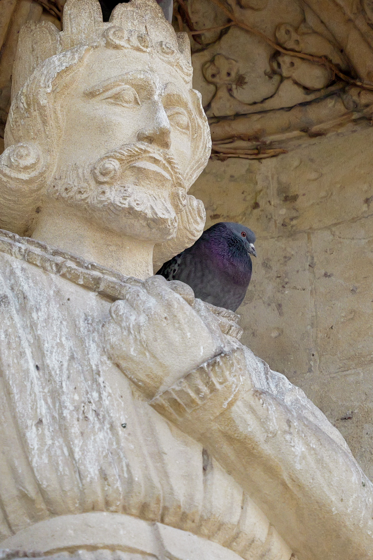 A photo taken on a Leica SL3-S mirrorless camera