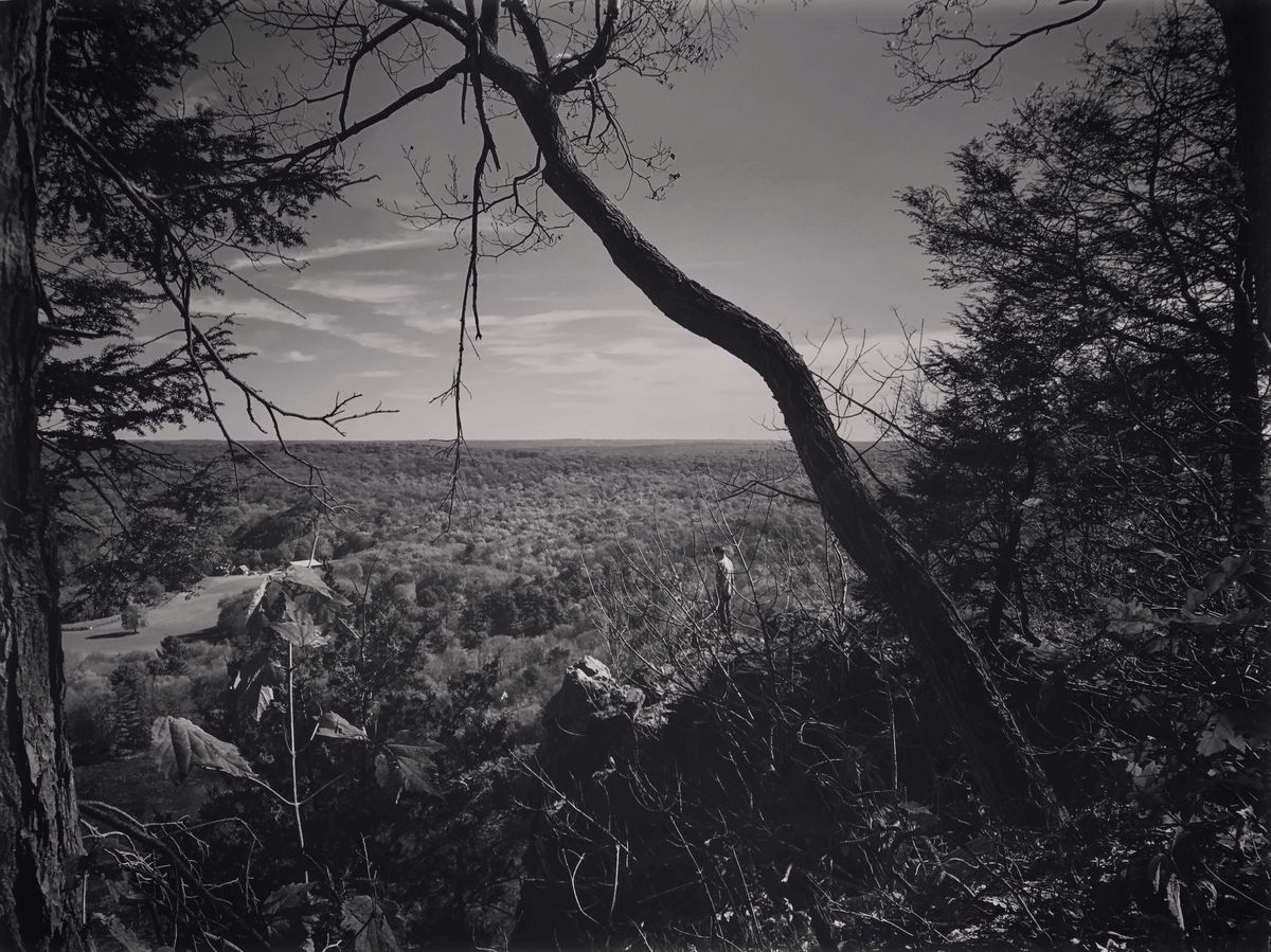 Youth Photographer of the Year: Megan Johnson, USA