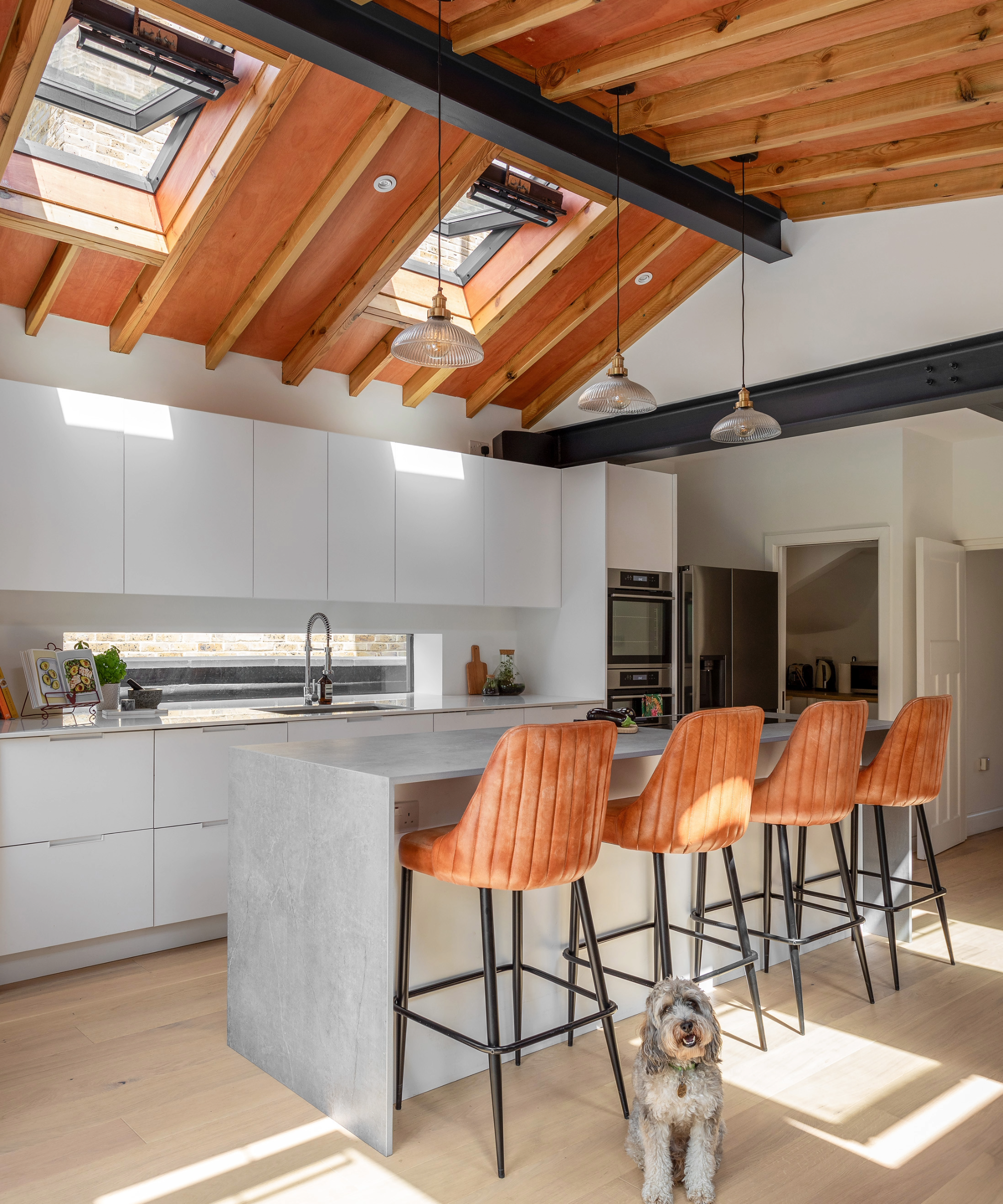 Inside the kitchen, featuring a breakfast bar island and high vaulted ceilings, with a dog in the shot