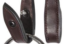 Smart-Lock_bridle.jpg