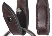 Smart-Lock_bridle.jpg