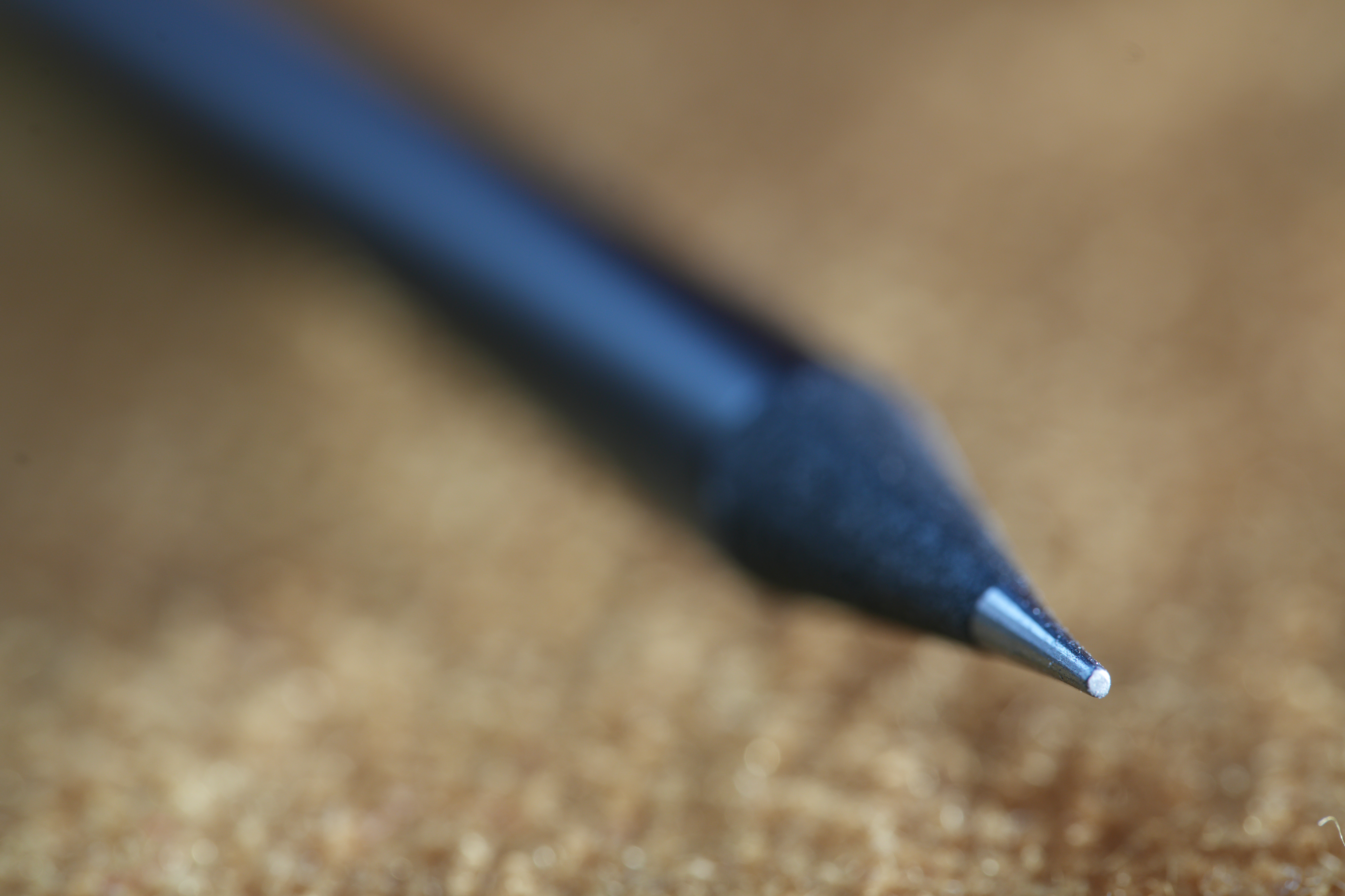 Sample image taken with the Sony FE 100mm f/2.8 Macro GM OSS lens using a Sony A7R V