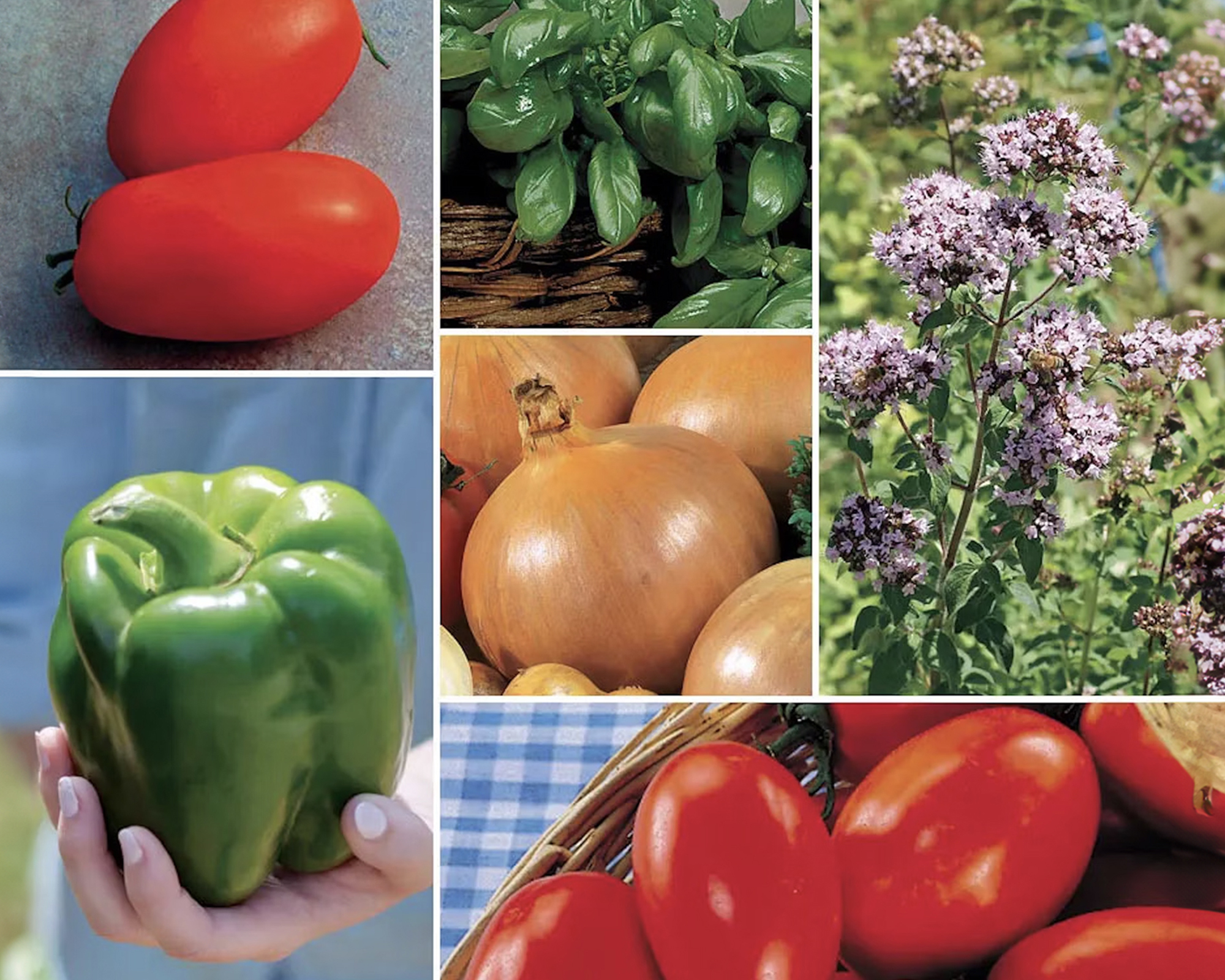 Ultimate veggie garden pizza seed collection