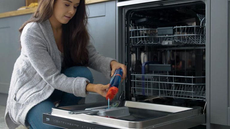 Best Dishwasher Real Homes