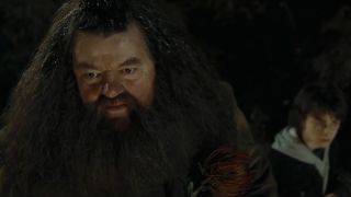 Hagrid showing Harry the dragons.