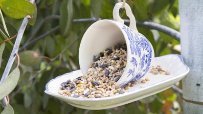 China teacup birdfeeder