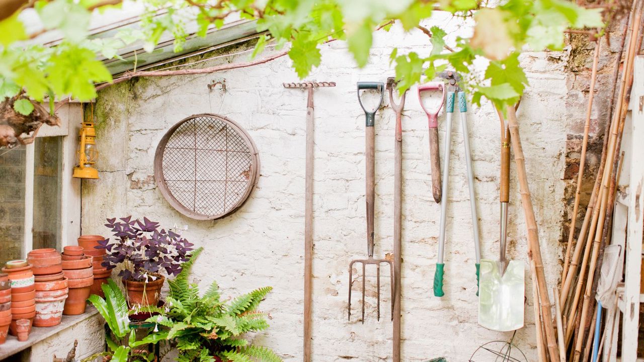 Garden tools in a greenhouse 