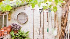 Garden tools in a greenhouse 