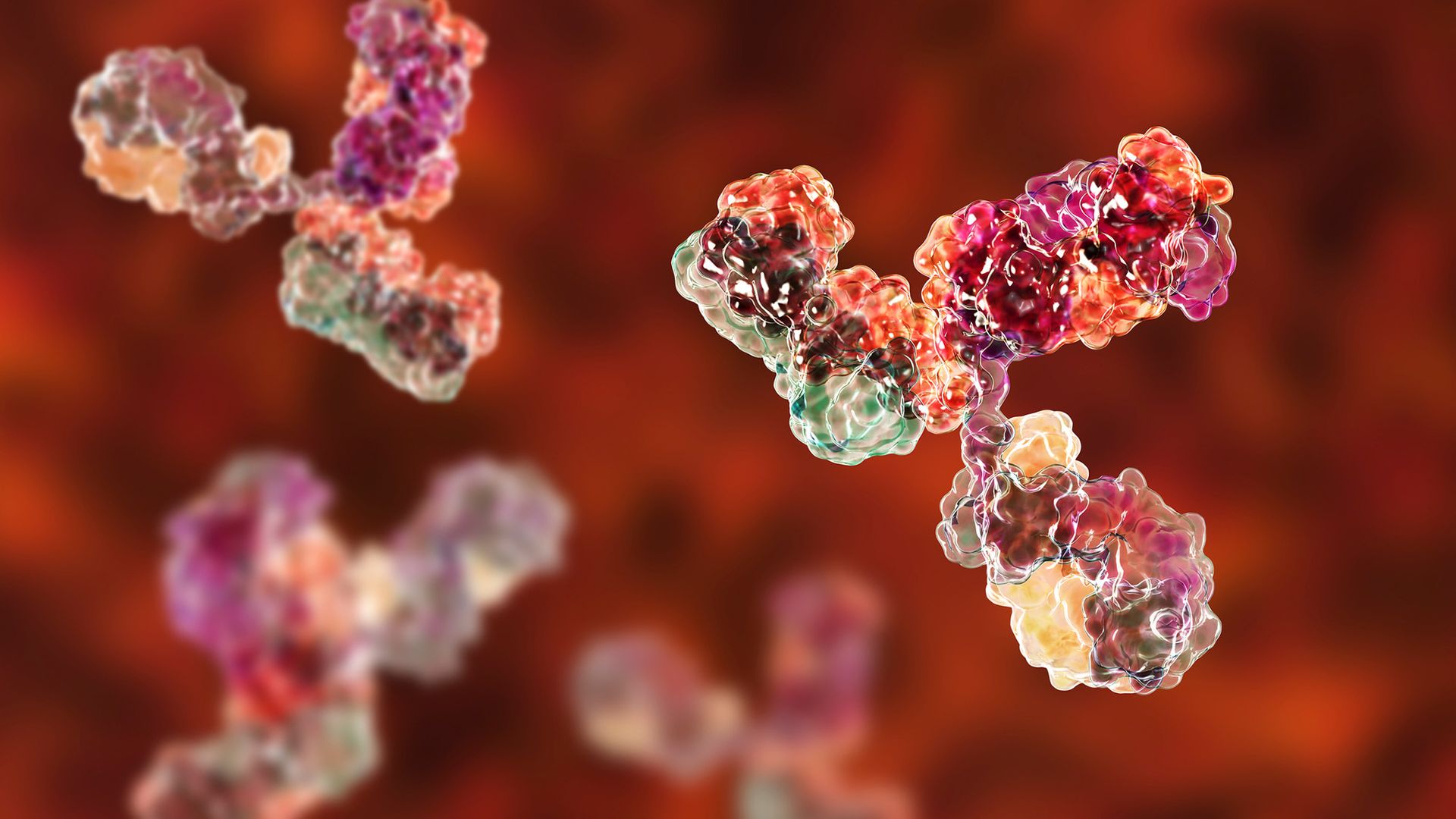 An illustration of various Y-shaped cells made of different colored spheres.