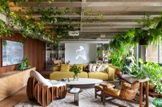 A living room filled with lush plants