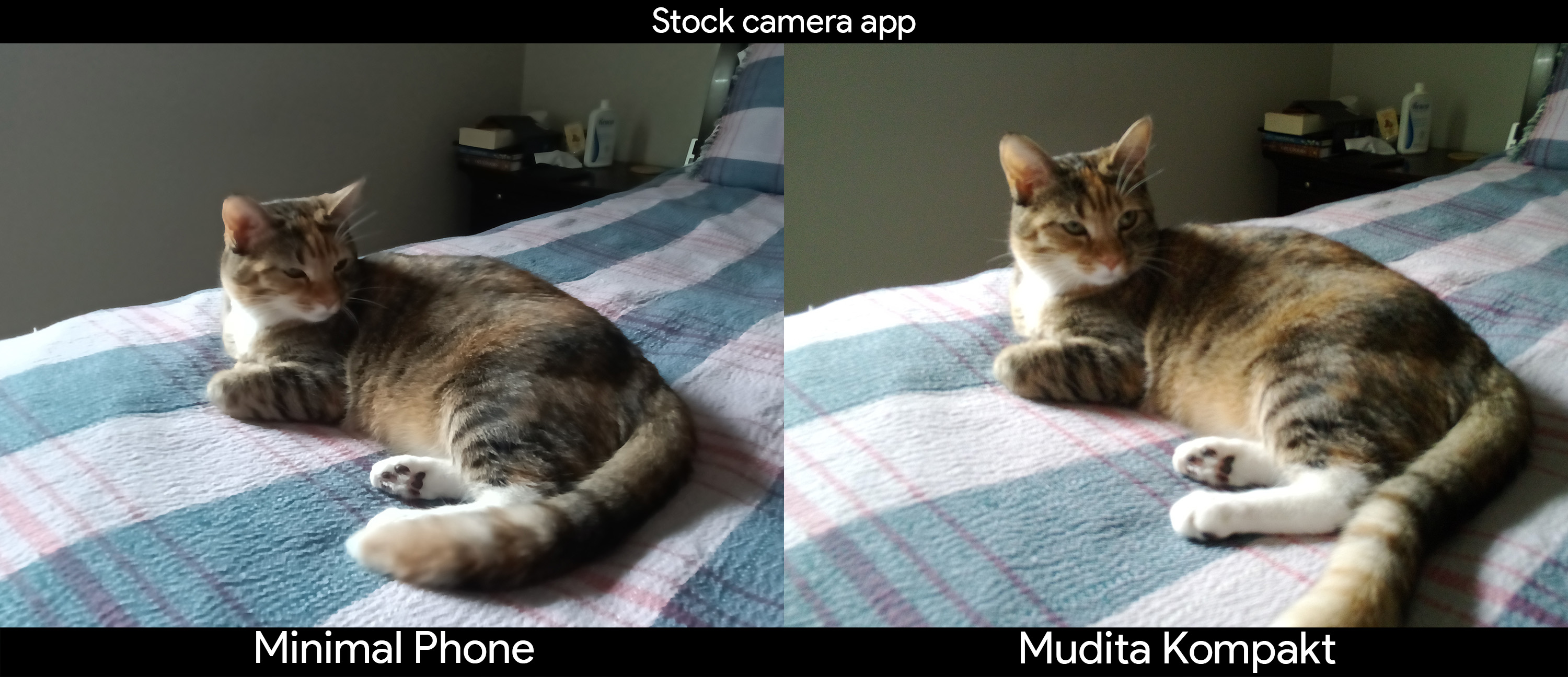 Comparing the cameras on the Mudita Kompakt vs the Minimal Phone
