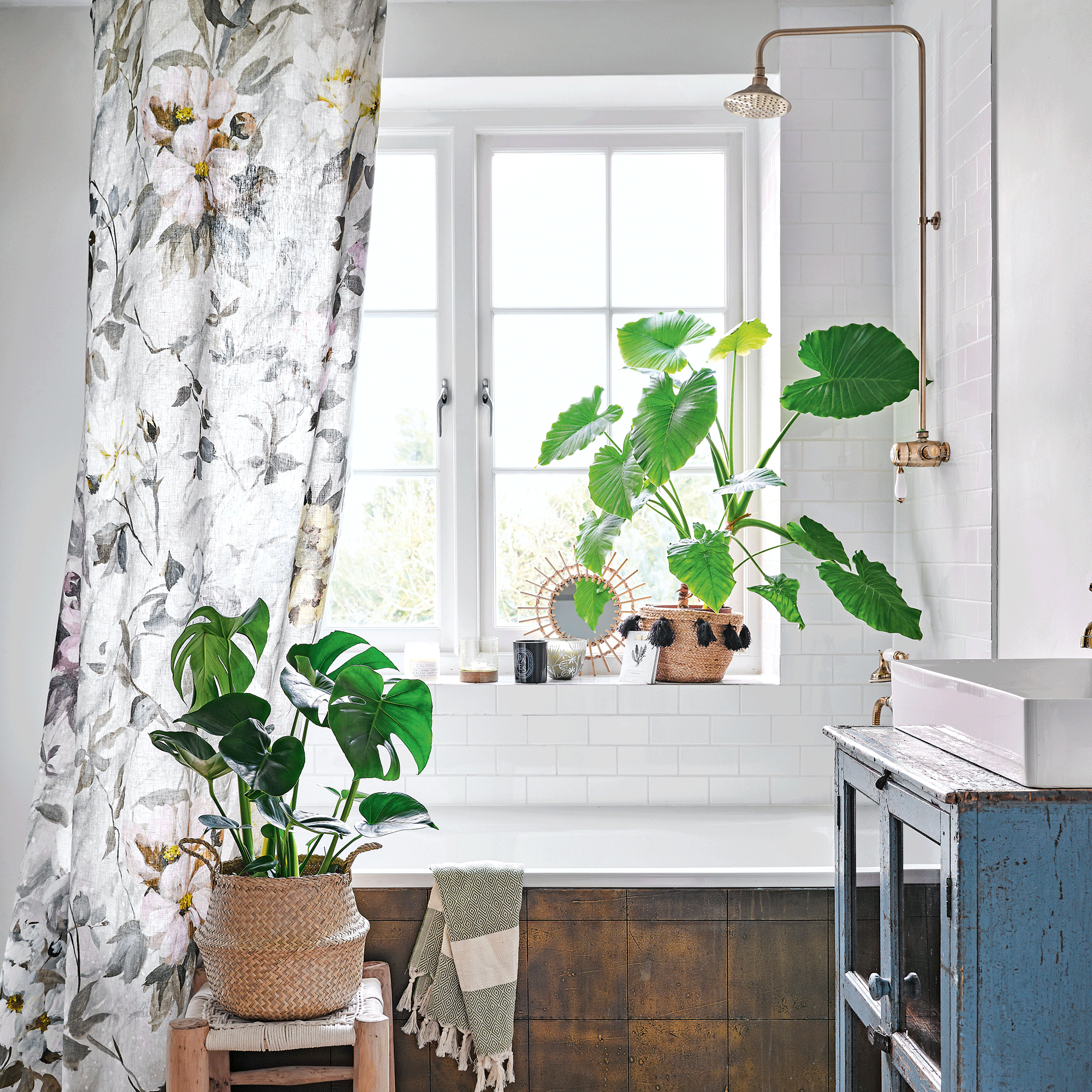 White bathroom with shower curtain and houseplants.