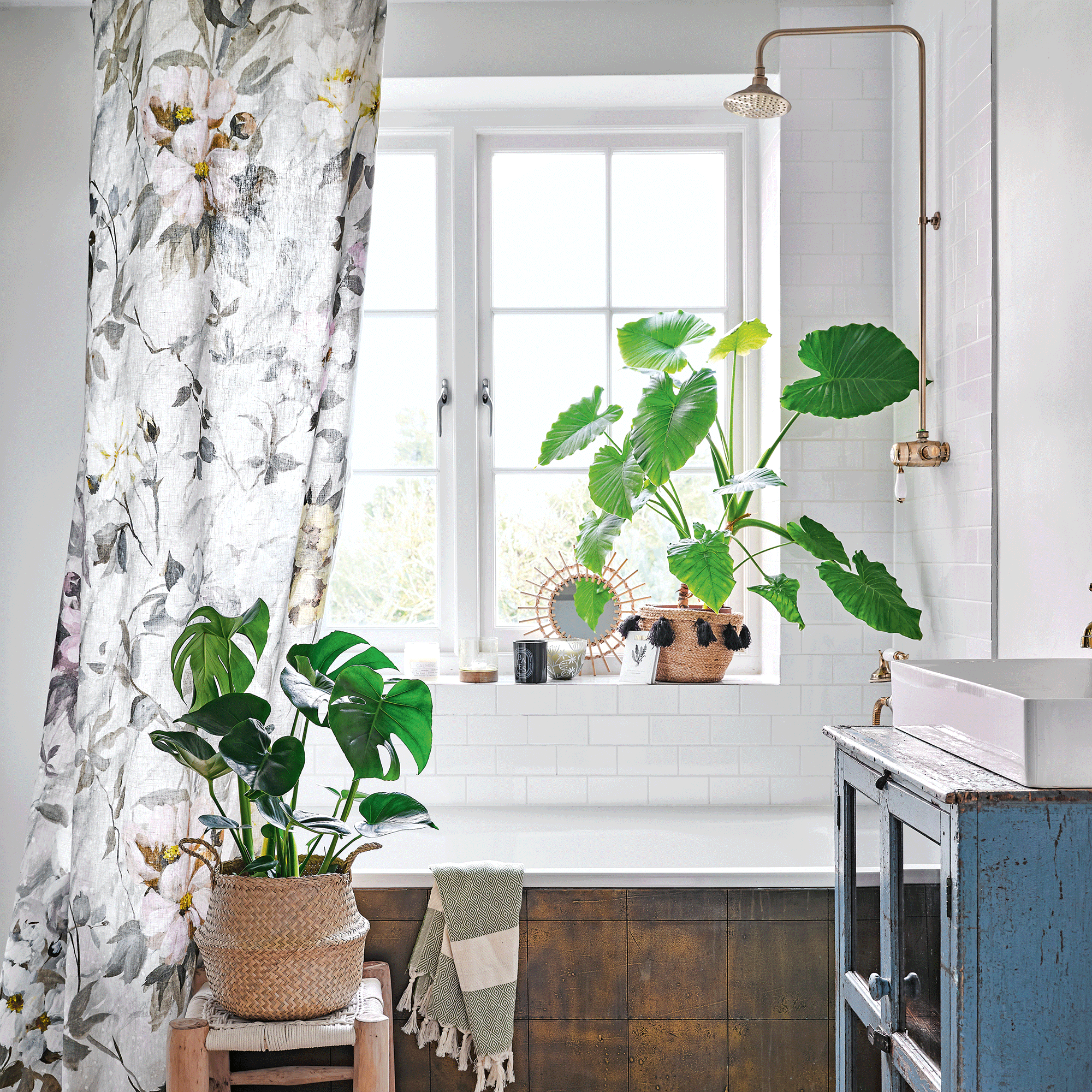 White bathroom with shower curtain and house plants