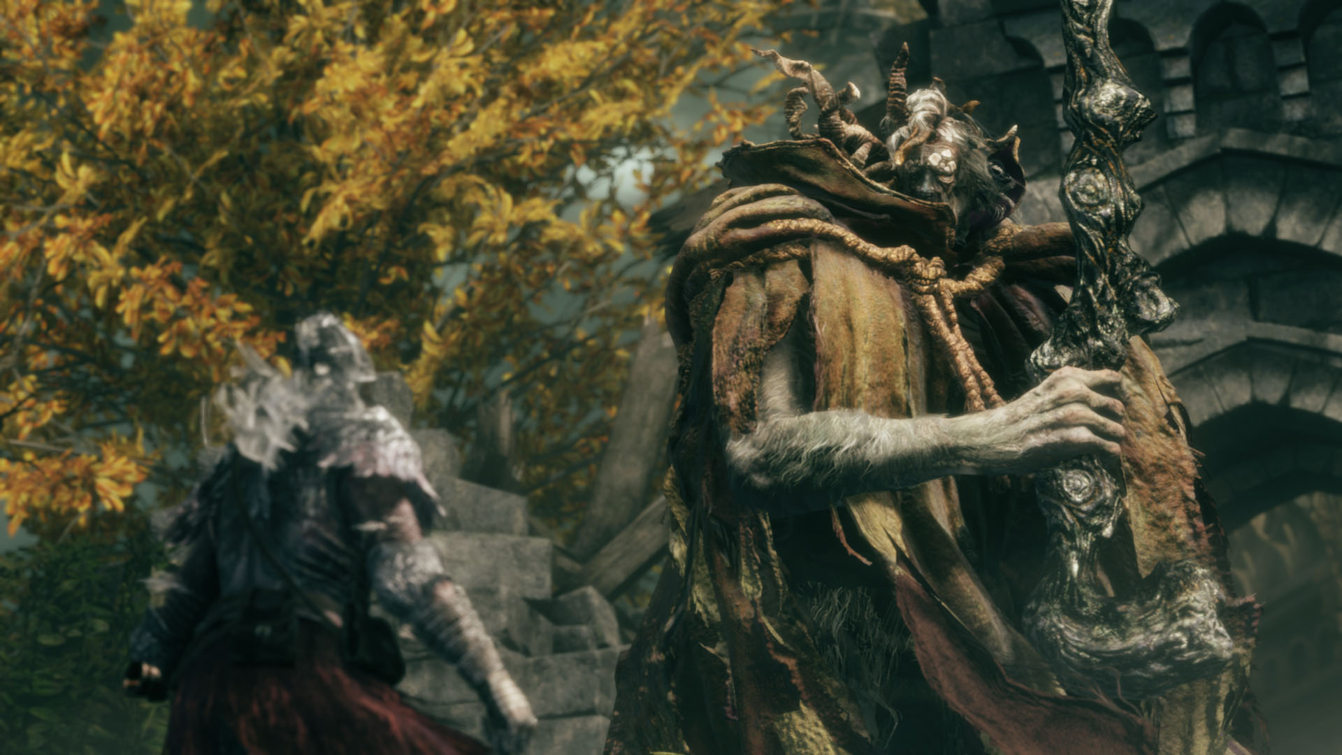 The player approaching a boss fight in Elden Ring Tarnished Edition on Nintendo Switch 2