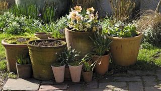 Grouped terracotta pots in all sizes