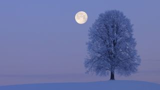 a full moon shines above a snow covered tree surrounded by snow