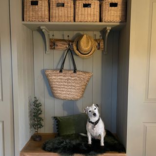 fitted hallway storage with hooks and dog on a bench