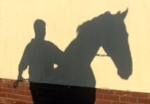 stolen_horse.jpg