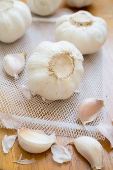 California Early Garlic