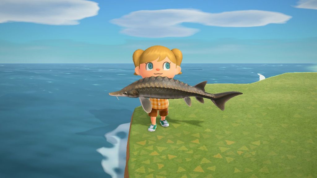 Animal Crossing New Horizons — All fish you can catch in September