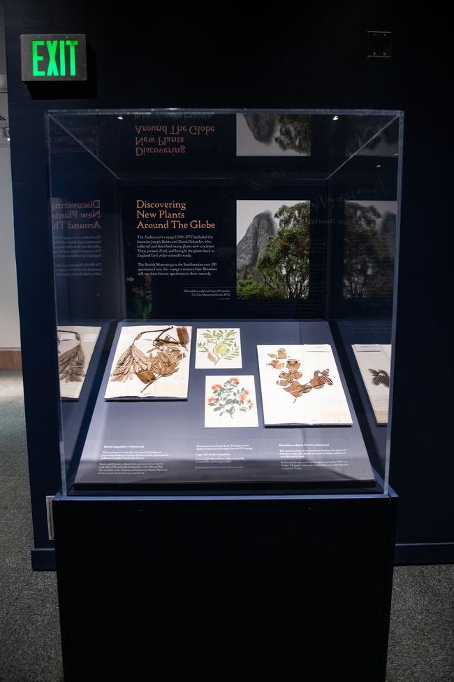 Beauty Rich _ Rare-Natural History Museum-DC-Australian Embassy-2019-12-18-RCD-69