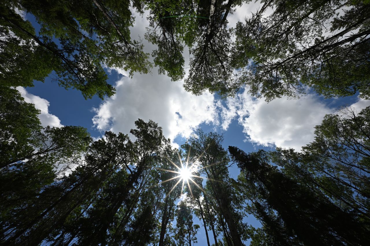 A sample image from the Tamron 12-20mm f/2.8 at f/14