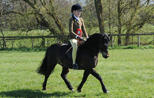 langfieldlordariel