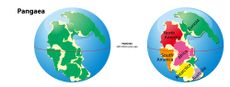 The supercontinent Pangaea