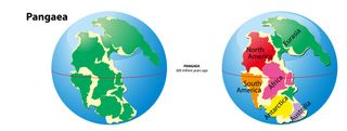 The supercontinent Pangaea