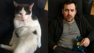 AI pet to person image created using ChatGPT