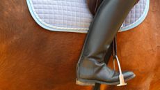 stirrup-alamy-C3W0RJ.jpg