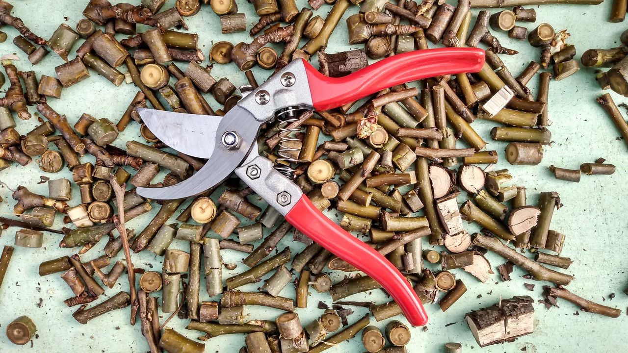 Best Pruning Shears: