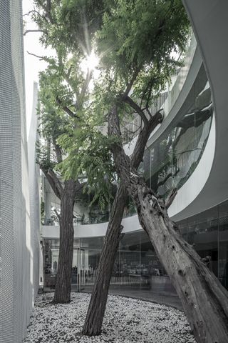 Ioma art centre beijing archistudio courtyard