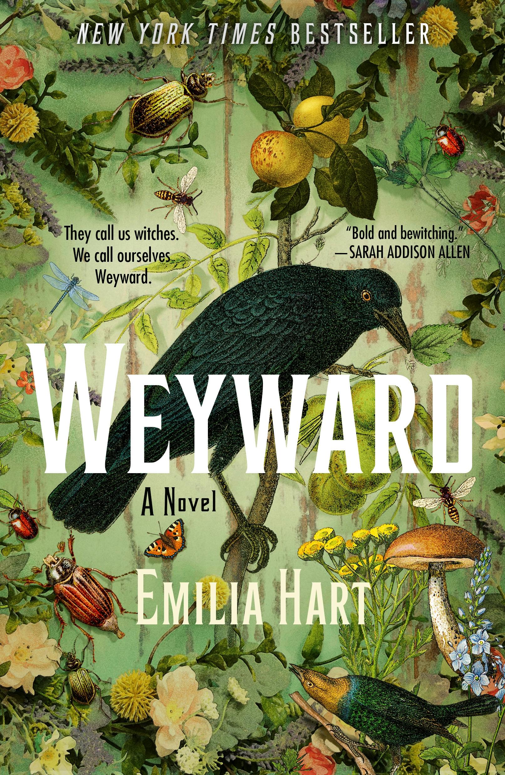 weyward best books about witches