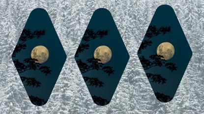a background of snow-covered trees in a forest with three new moon and tree silhouettes as the main photos