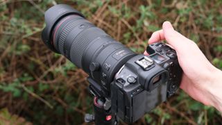 Canon RF 24-105mm f/2.8L IS USM Z lens on a Canon EOS R5 camera