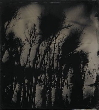 From the series Blackwater, 2008 – 12 Tintype