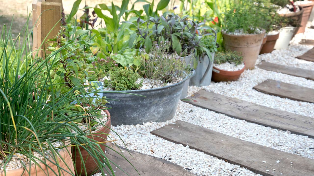 gravel path with sleeper stepping stones and potted plants