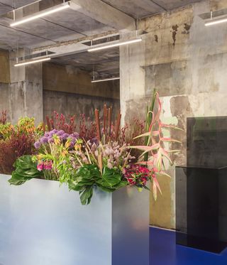 Flowers and foliage in a metal tall trough in a room with concrete walls and a blue floor