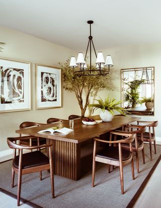 dining room in an apartment with live edge table and plants by Albion Nord