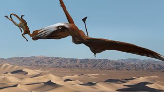 Triassic pterosaur
