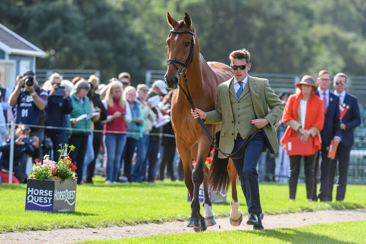 Simon Grieve_THE RUTMAN_LRBHT_PN19_102785