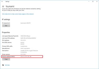 Windows 10 Settings MAC address information