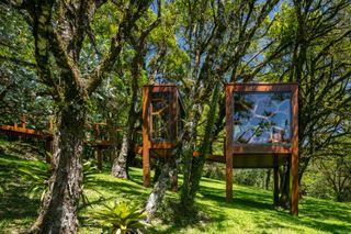 brazilian treehouse among greenery