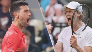 Novak Djokovic and Jannik Sinner will play each other at Wimbledon 2022