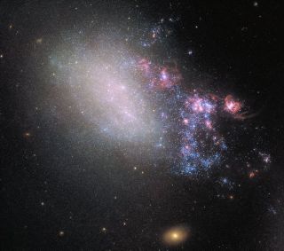 The galaxy NGC 4485 has been dramatically warped by a larger neighbor, NGC 4490, out of frame to the bottom right in this image.
