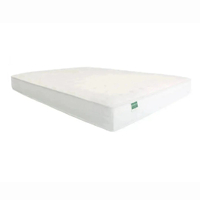 Palmpring Organic Cambay Coconut Coir mattress (queen)